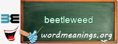 WordMeaning blackboard for beetleweed